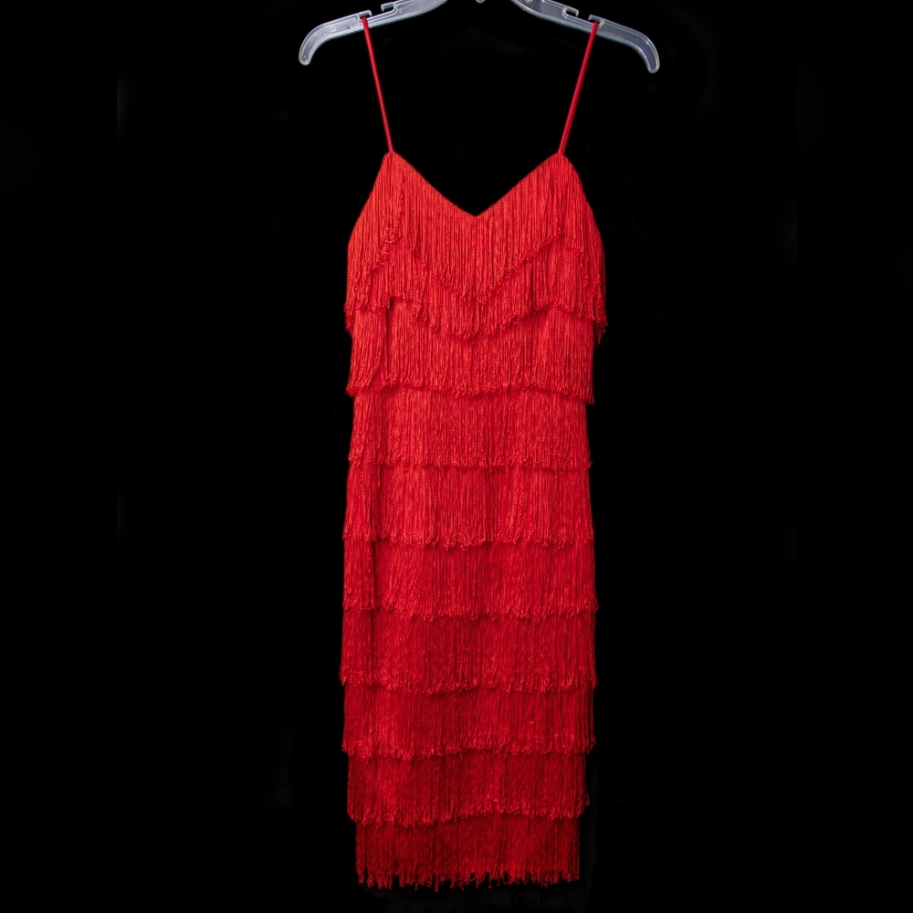 Vintage New Leaf Fringe Tango Dress 6